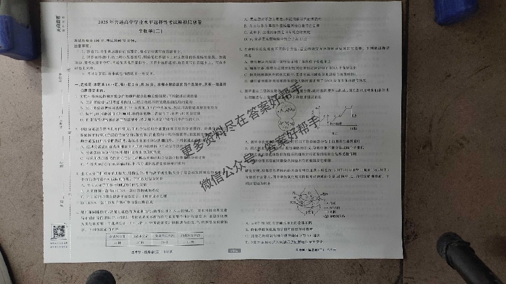 2025衡中同卷信息卷生物（E专版）二答案