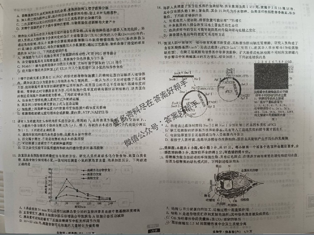 历史L6试卷2025年衡中同卷信息卷答案
