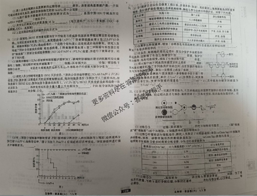衡中同卷地理L2试卷2025年信息卷答案