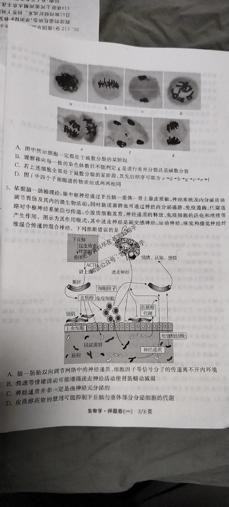 历史2025年衡中同卷信息卷试卷答案AH4