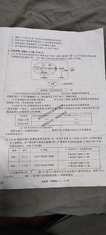 2025年衡中同卷信息卷物理HN2试卷答案