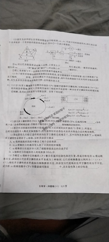 化学HN3衡中同卷2025年信息卷试卷答案