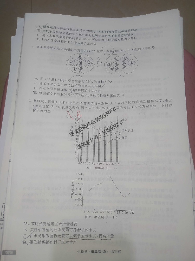 衡中同卷2025年信息卷历史HN3试卷答案