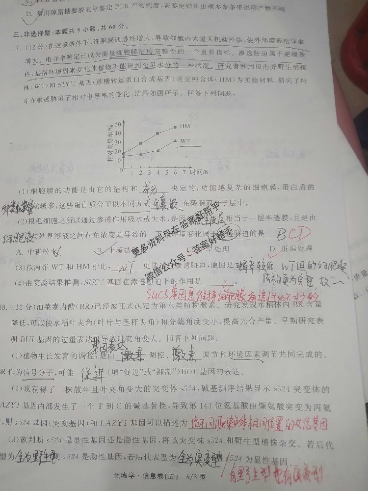 2025年衡中同卷信息卷Y2物理试卷答案