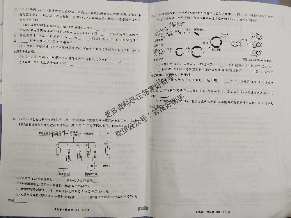 衡中同卷2025年生物G1试卷信息卷答案