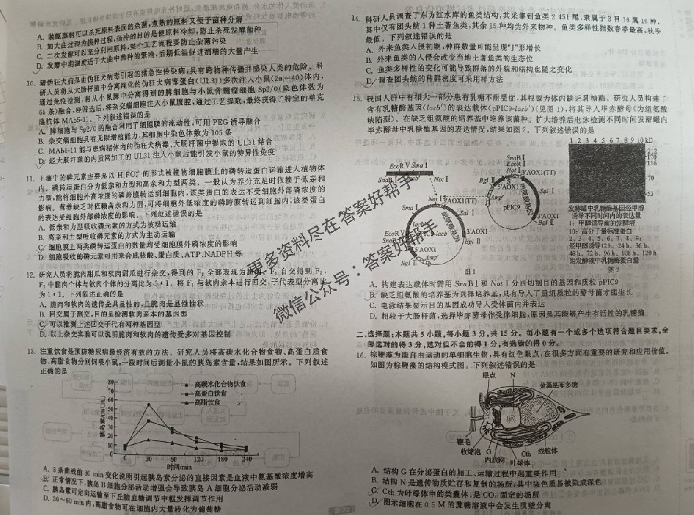 衡中同卷2025年信息卷化学H3试卷答案