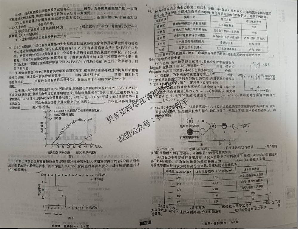 衡中同卷生物2025年信息卷H1试卷答案