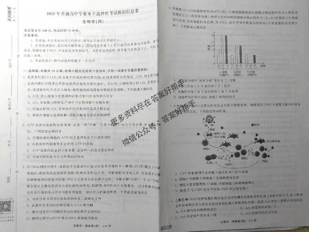 2025年物理W6试卷衡中同卷信息卷答案