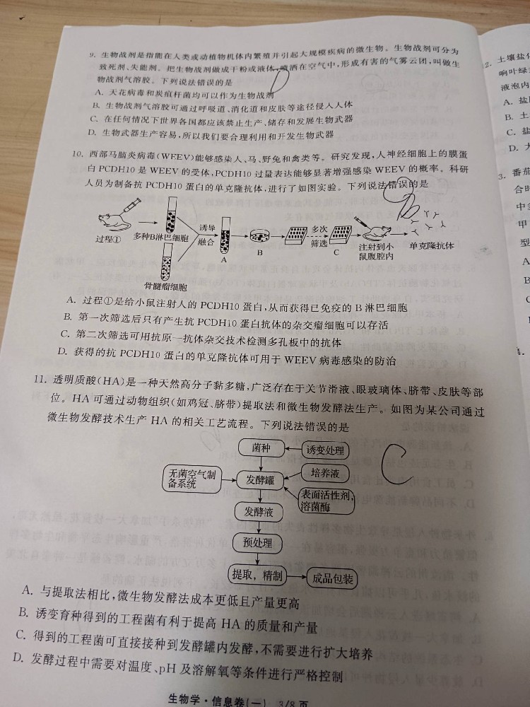2025年政治W1试卷衡中同卷信息卷答案