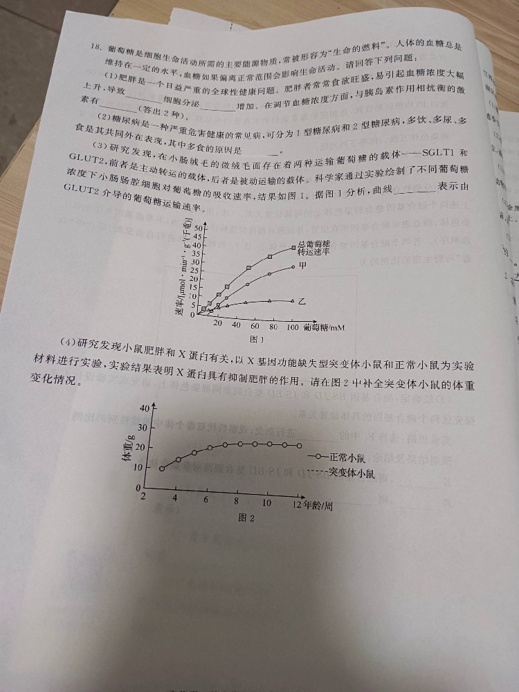 衡中同卷地理W5试卷信息卷2025年答案