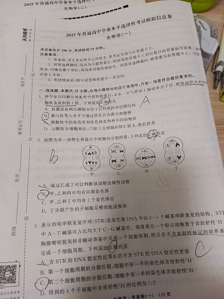 2025年衡中同卷信息卷试卷物理X6试卷答案